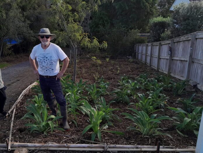 Barry Wood in a sunhat and gumboots stands among rows of young native plants at Cockle Bay, with a fence and trees behind