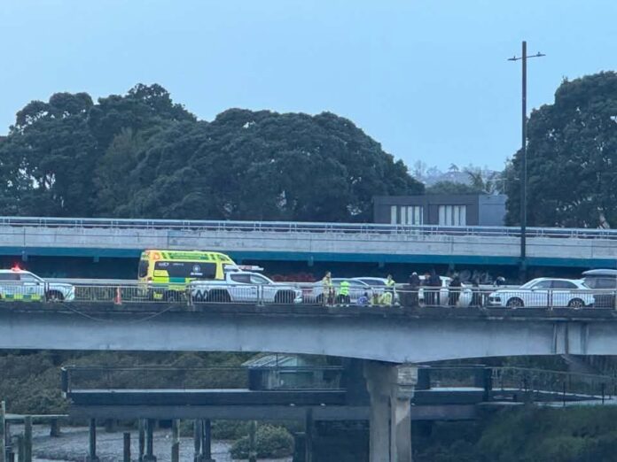 An ambulance and other emergency vehicles stopped on a road bridge at dusk, with a group of people standing beside them, seen from across the water.